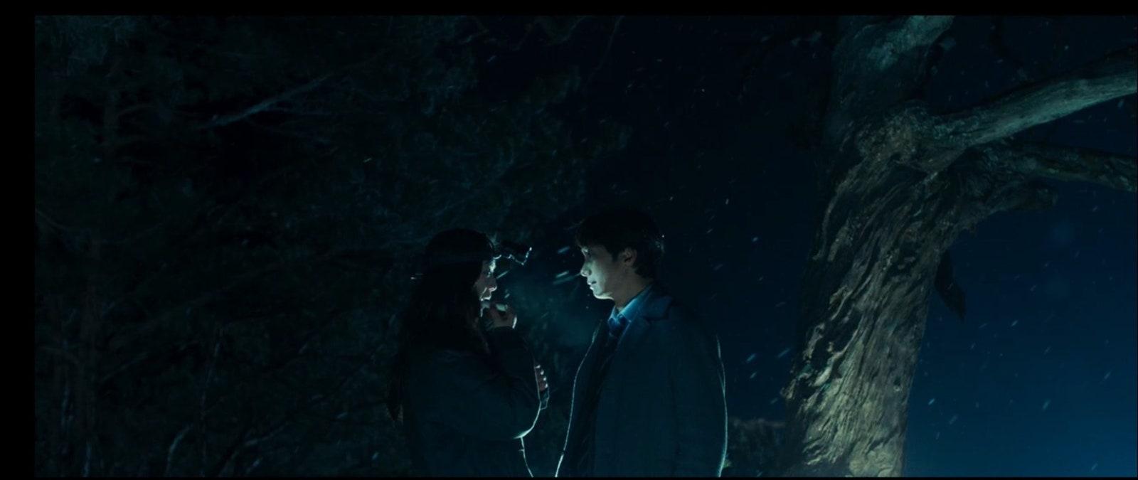 Decision To Leave Wallpapers Top Free Decision To Leave Backgrounds