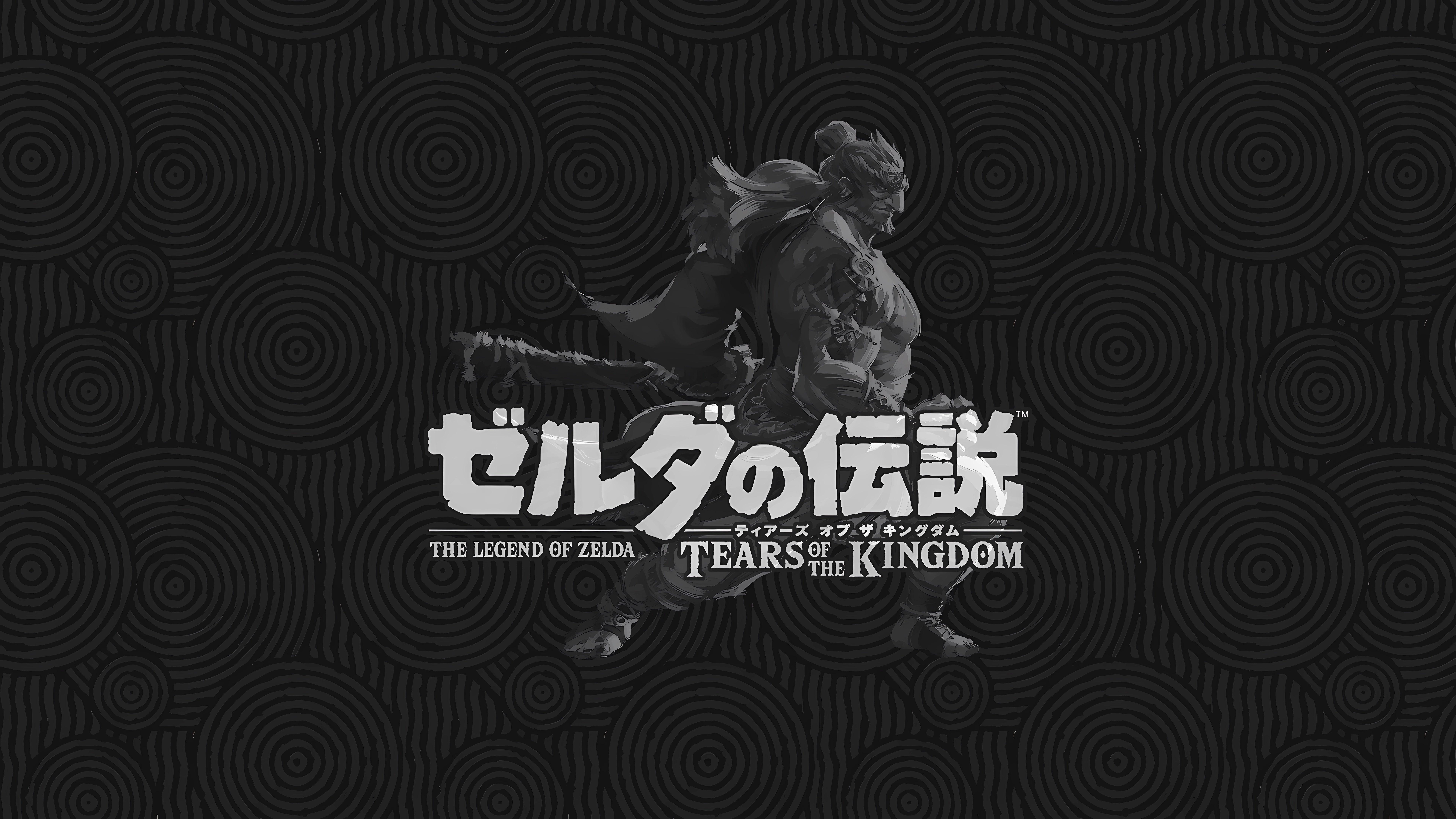 7680x4320 TotK Made some wallpaper from the new character art and Japanese logo