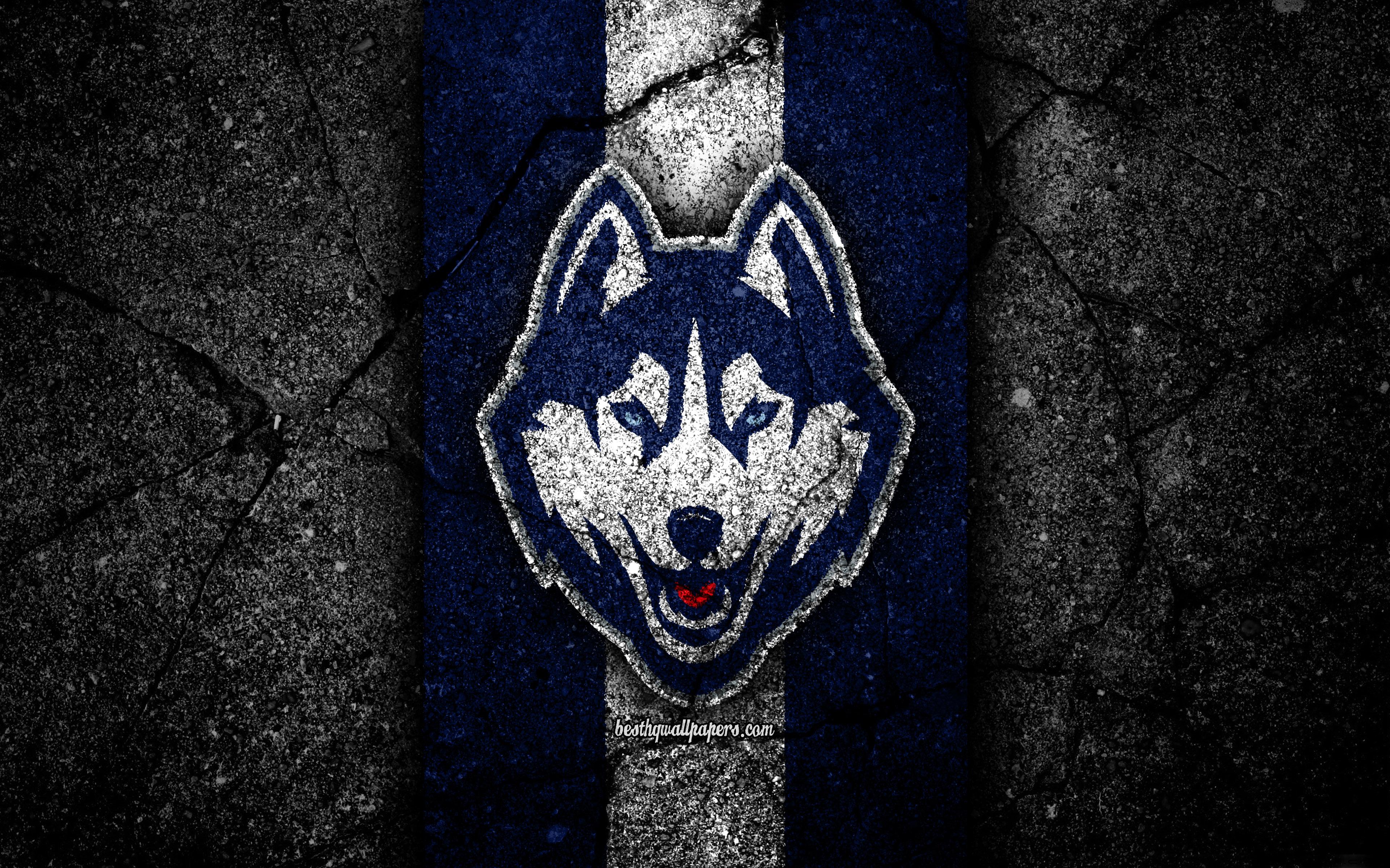 3840x2400 Download wallpaper UConn Huskies, 4k, american football team, NCAA, blue white stone, USA, asphalt texture, american football, UConn Huskies logo for desktop with resolution 3840x2400. High Quality HD picture wallpaper