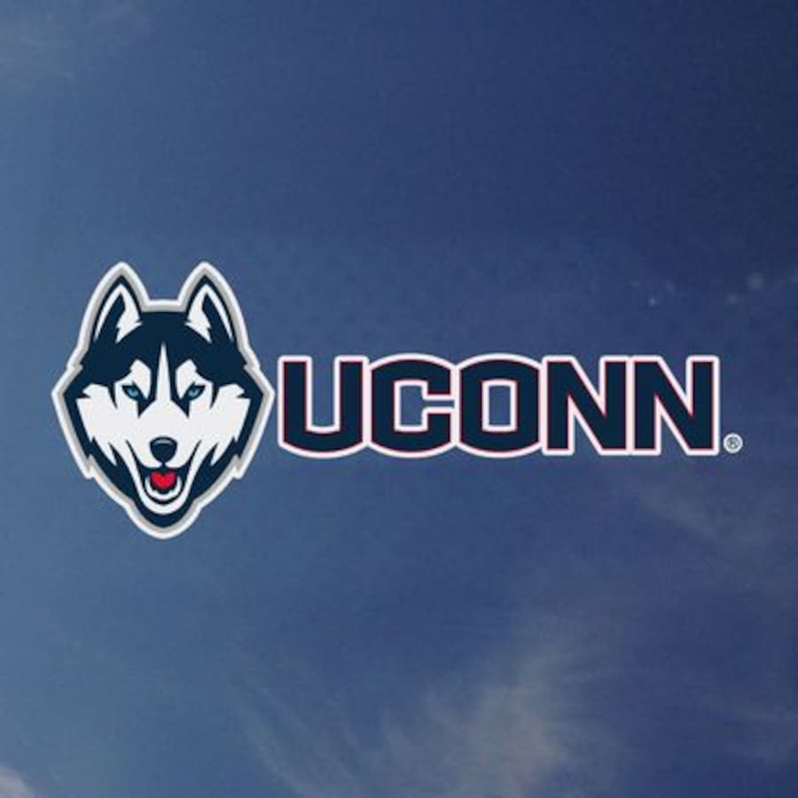 900x900 UCONN Color Shock Auto Decal