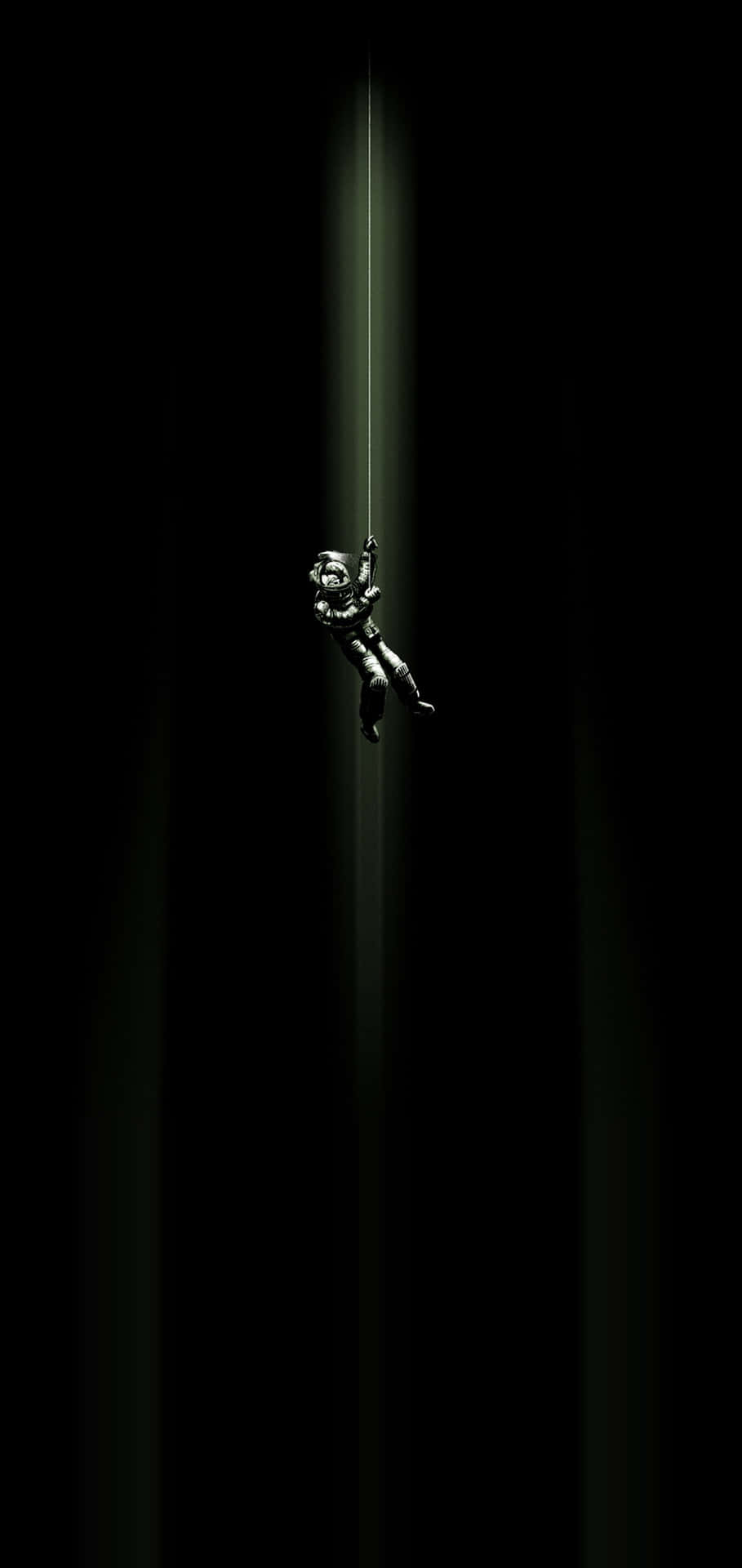 909x1920 Download A Black And White Image Of A Small Bird Flying In The Dark Wallpaper