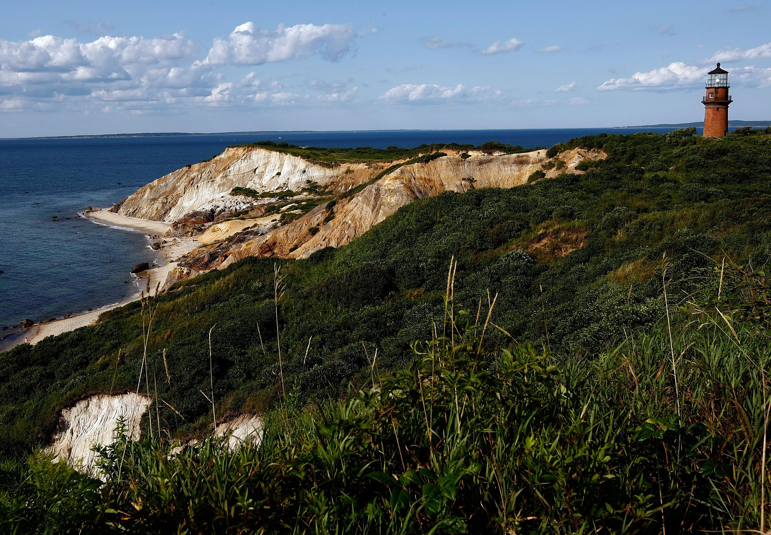3000x2084 Officials fear avian flu after hundreds of dead birds wash up on Martha's Vineyard