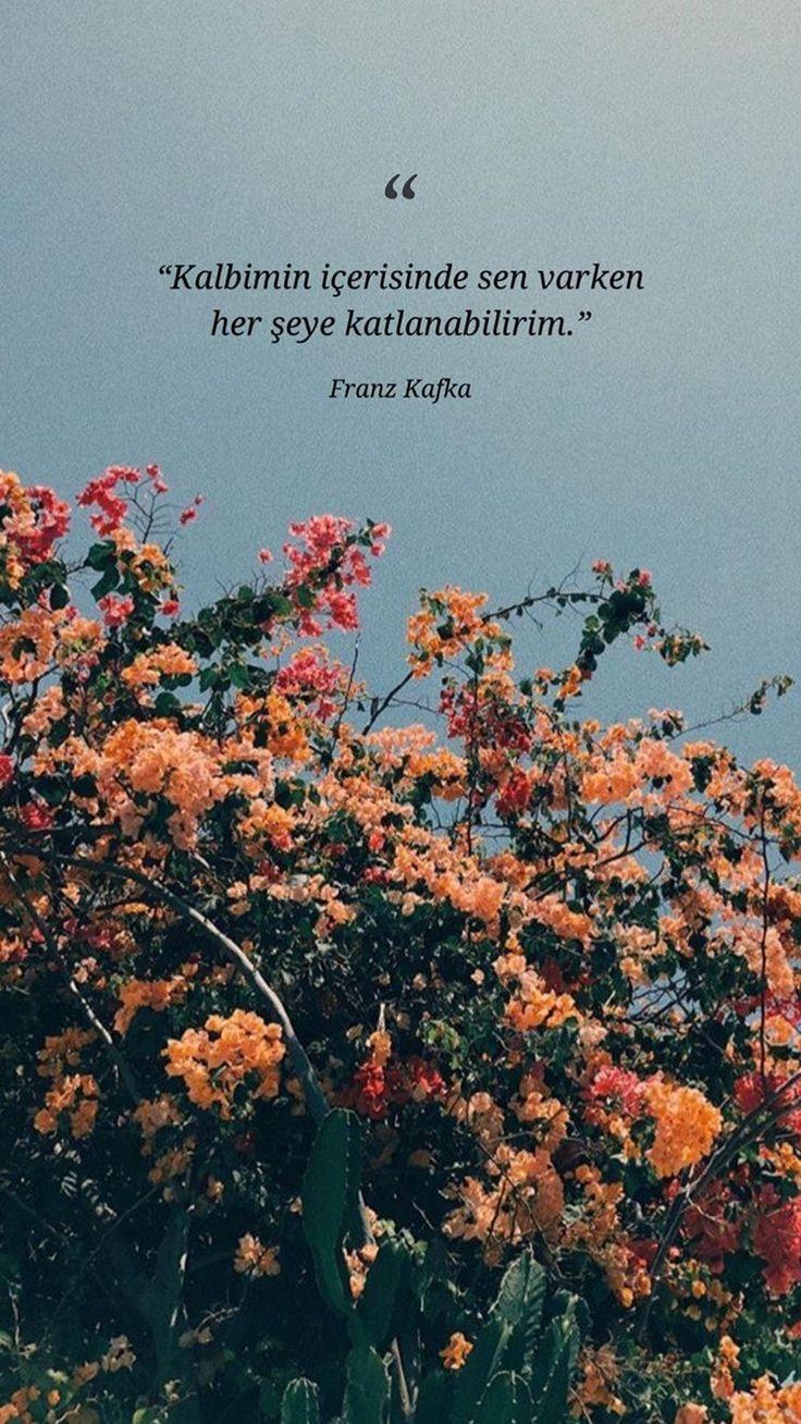 736x1308 Edebiyat Franz Kafka. Edebiyat alıntıları, Edebiyat, Instagram