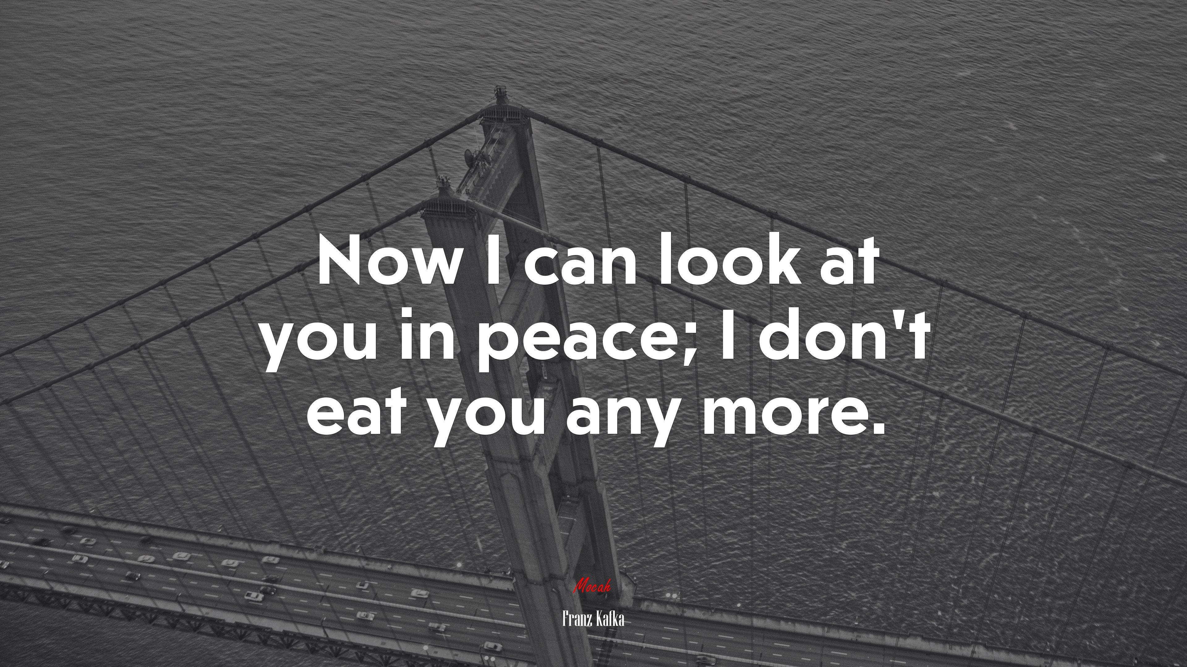 3840x2160 Now I can look at you in peace; I don't eat you any more. Franz Kafka quote Gallery HD Wallpaper