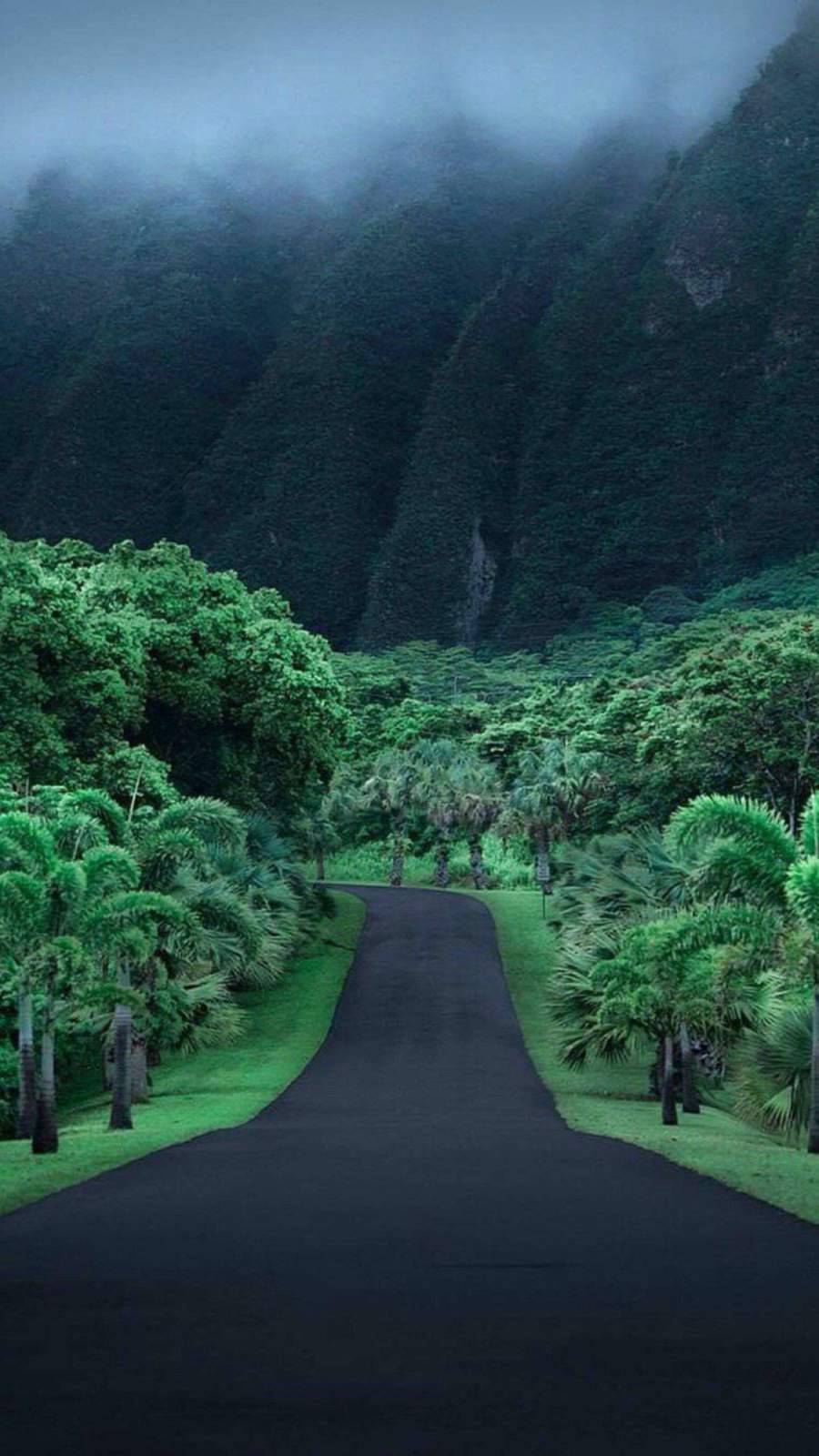 900x1600 Hawaii Nature IPhone Wallpaper Wallpaper : iPhone Wallpaper