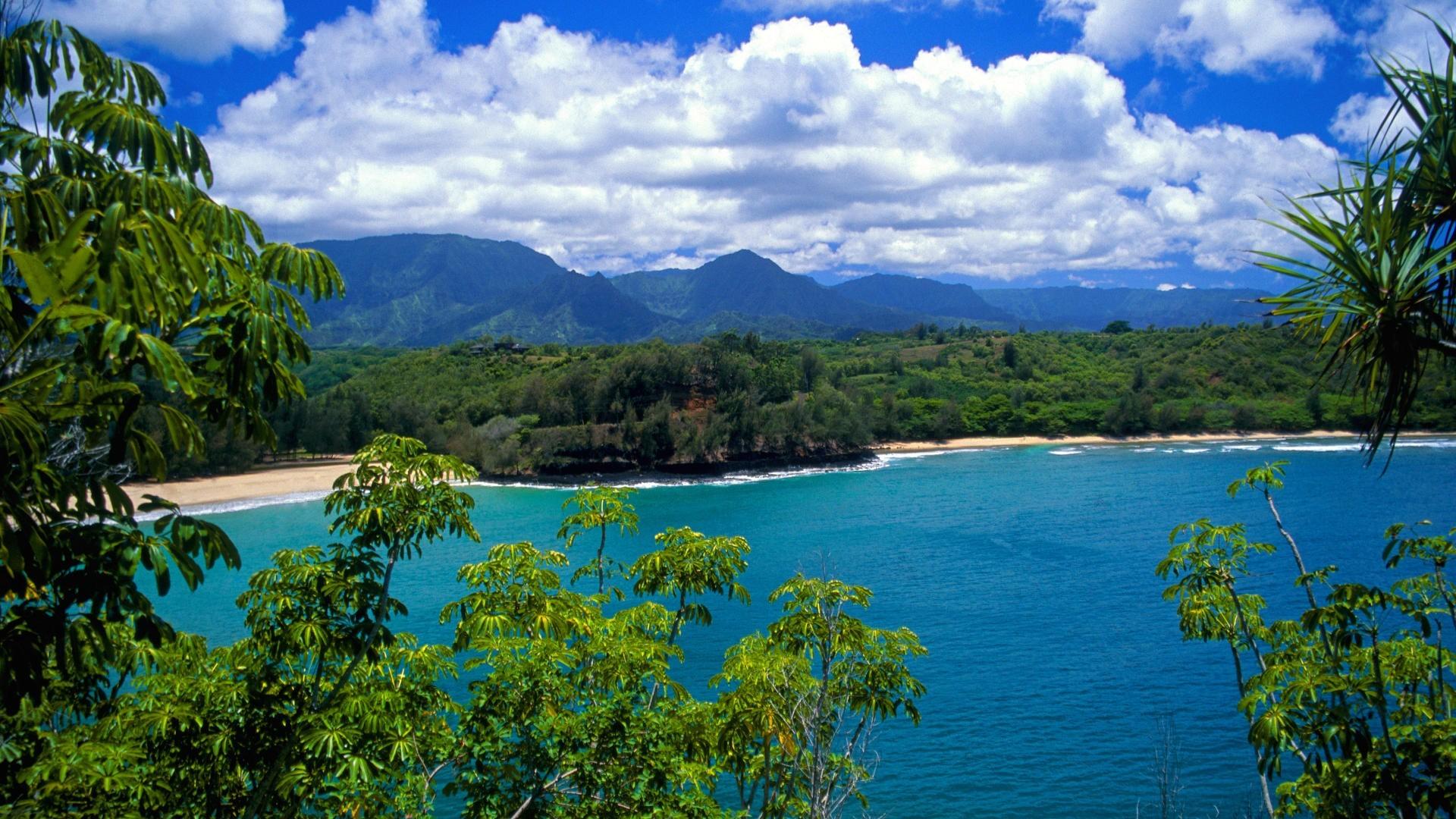 1920x1080 Free Beach Hawaii High Definition Nature Wallp Wallpaper. Cool