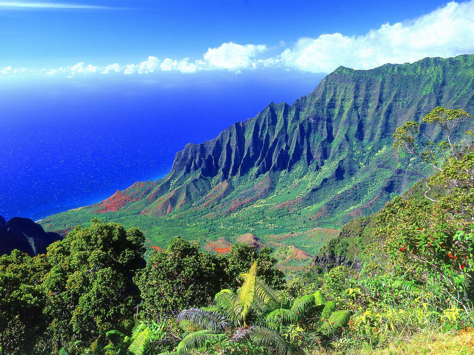 Nature Hawaii Wallpapers - Top Free Nature Hawaii Backgrounds