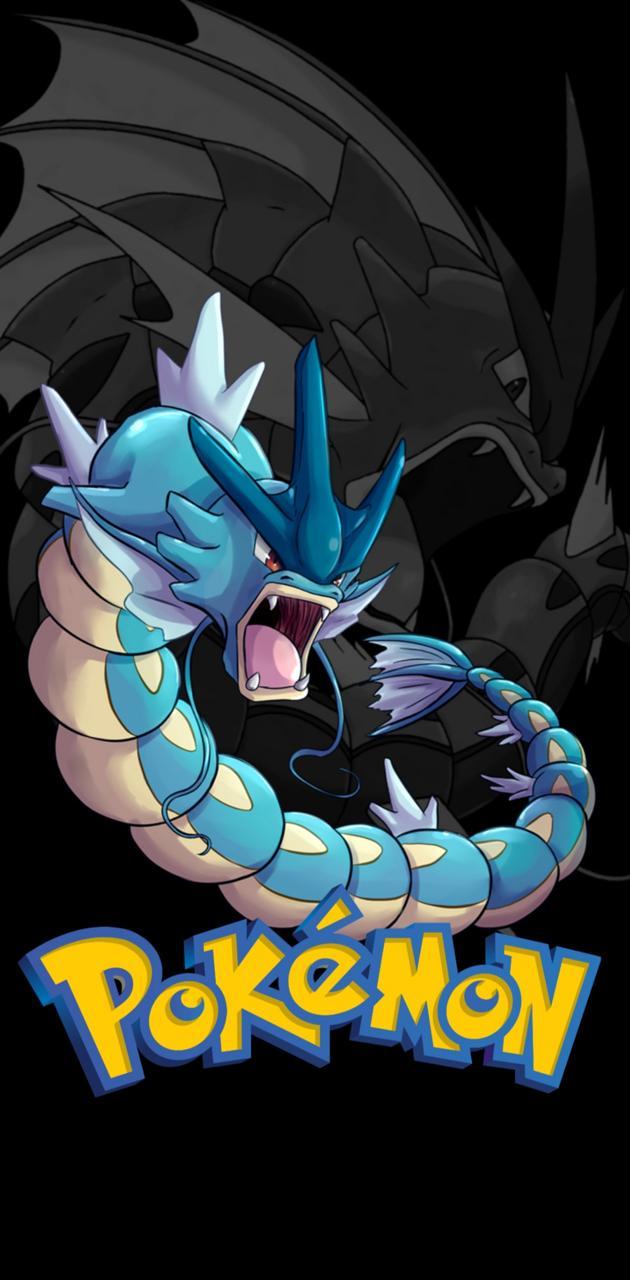 630x1280 Gyarados wallpaper