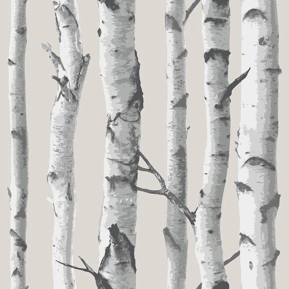 1000x1000 NuWallpaper Birch Tree Peel & Stick Wallpaper. The Home Depot Canada