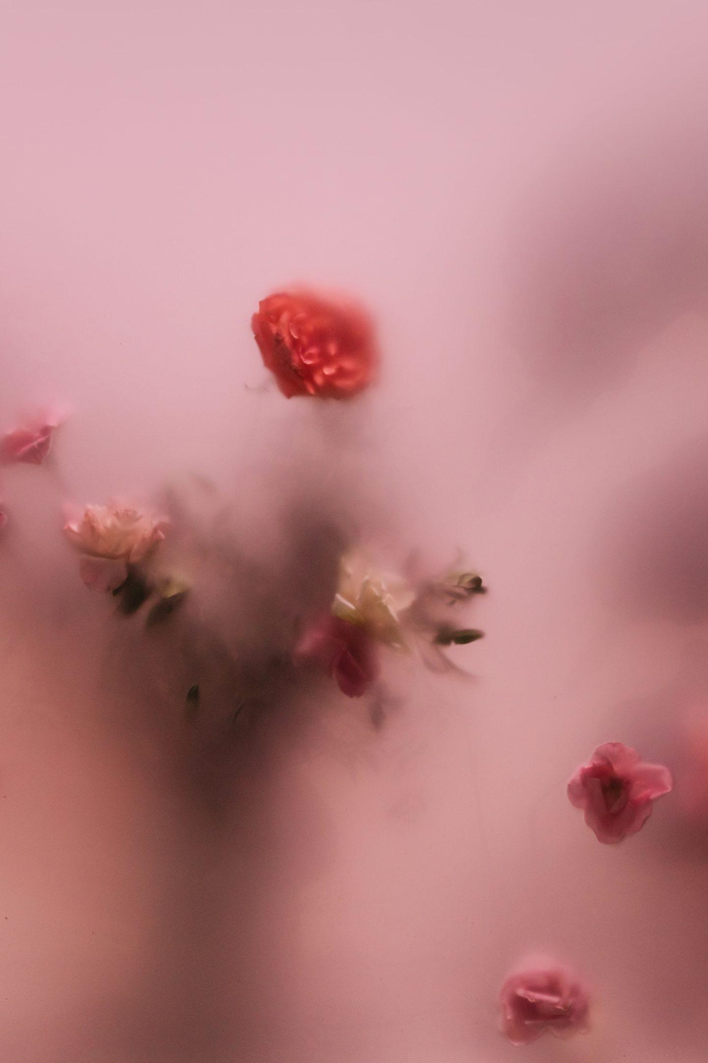 1440x2160 Cute Pink Wallpaper For iPhone That You'll Love