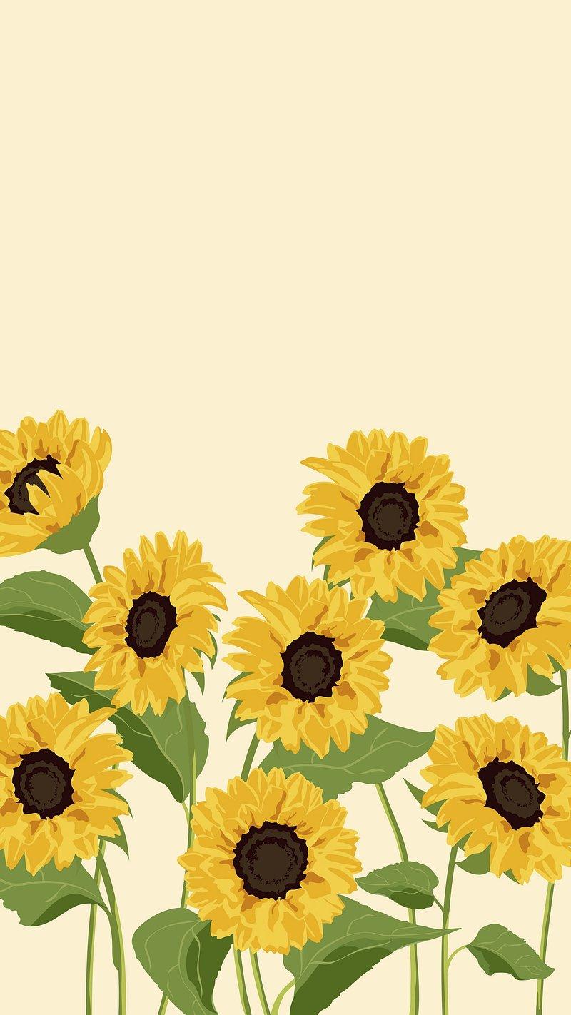 800x1422 Sunflower Wallpaper Image Wallpaper
