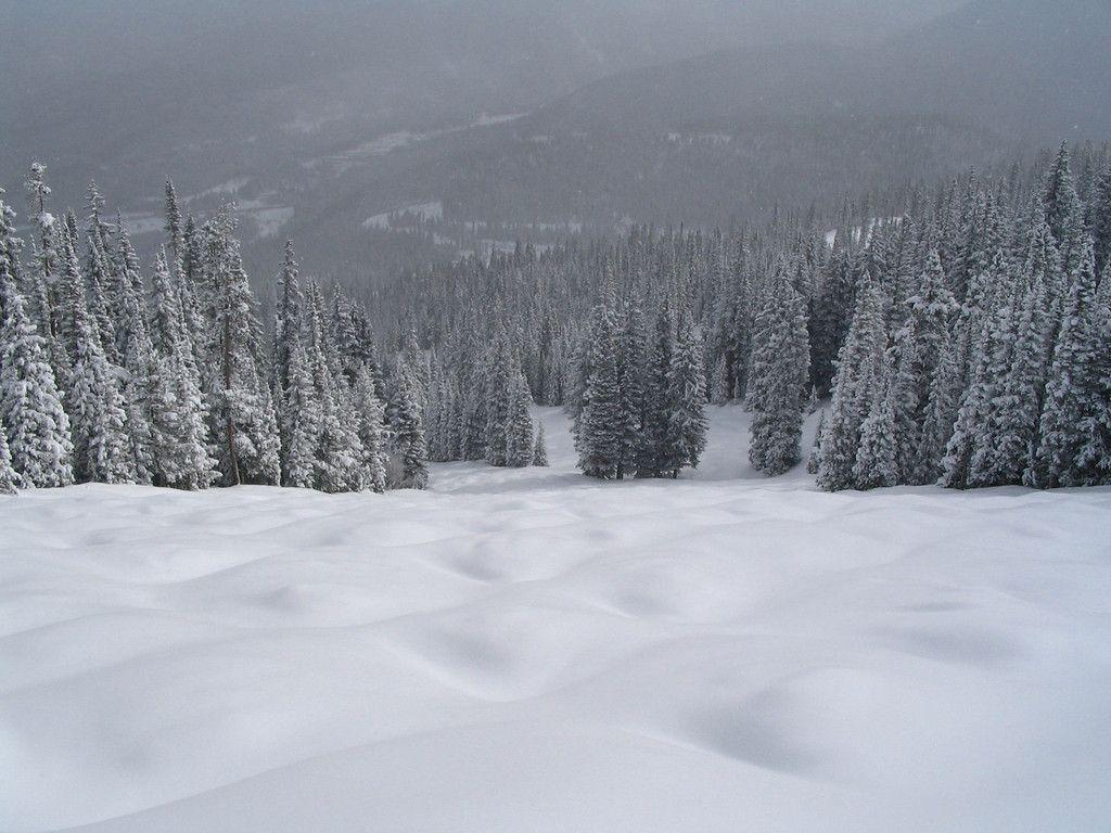 1024x768 Mogul Skiing: Mogul Runs in the U.S