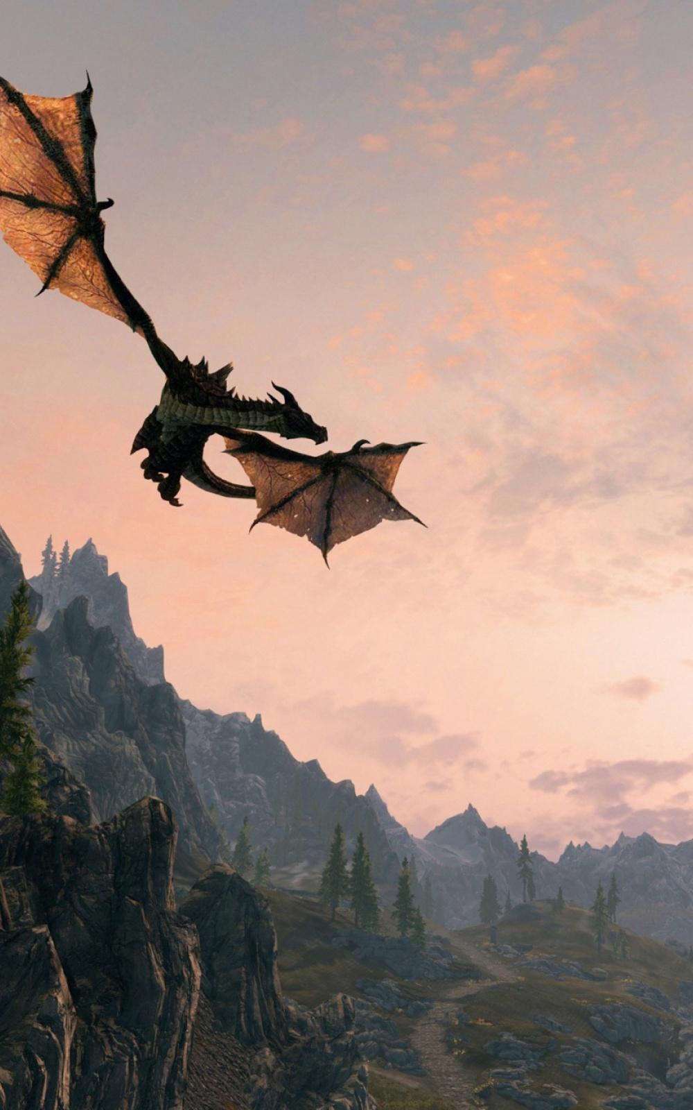 1000x1600 Skyrim i Wallpaper Download