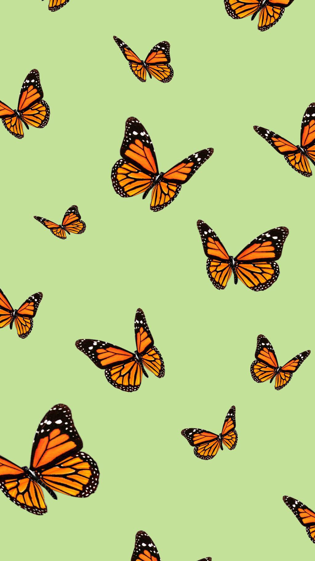 1024x1820 Download Aesthetic Orange Butterfly On Green Wallpaper