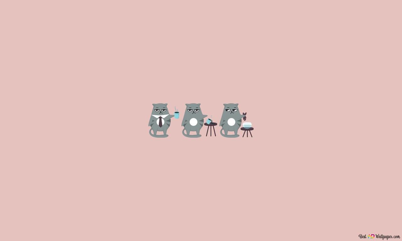 1280x768 Grey Grumpy Cat, minimalist design HD wallpaper download