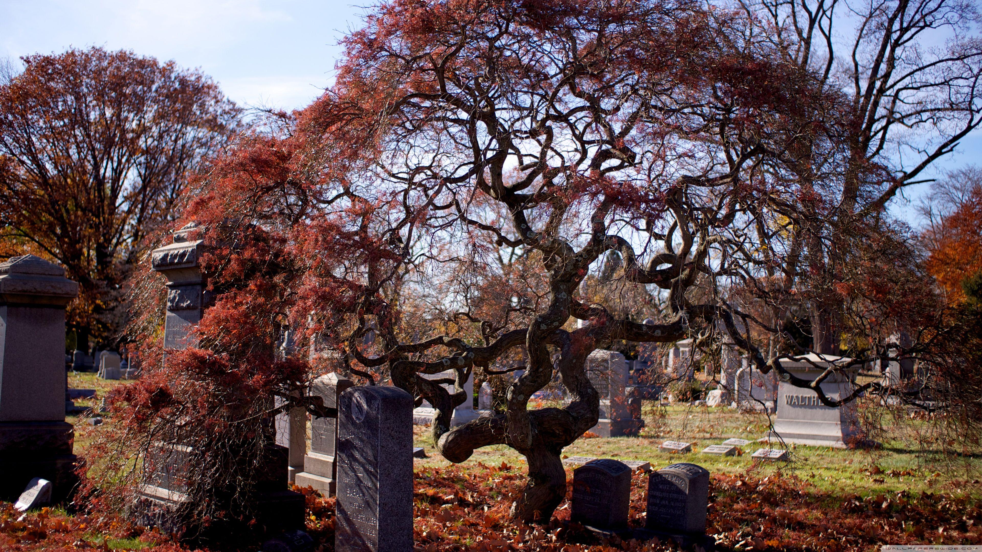 3840x2160 Halloween Cemetery ❤ 4K HD Desktop Wallpaper for 4K Ultra HD TV