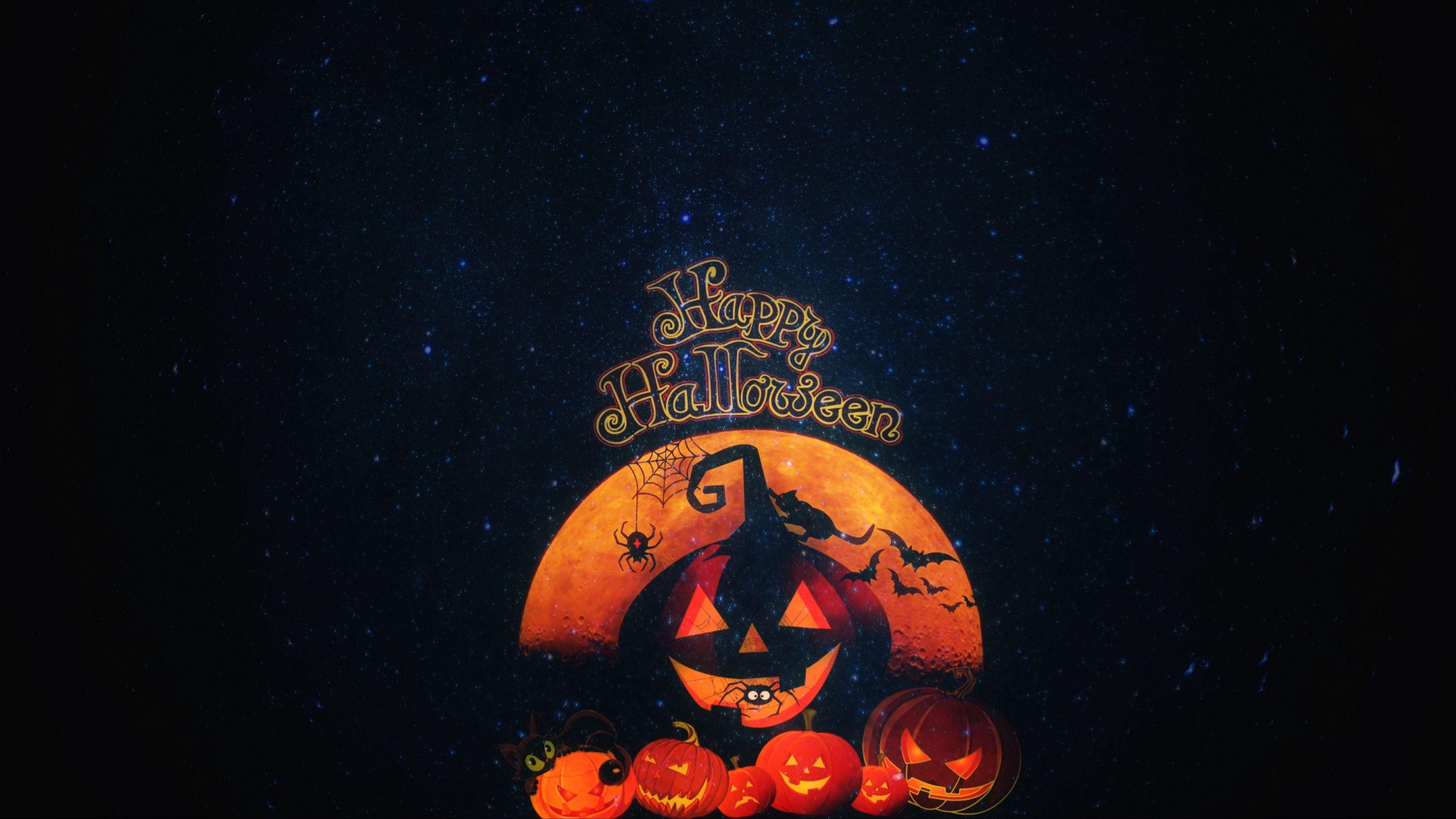 3840x2160 Download wallpaper 3840x2160 halloween, pumpkin, autumn, cat