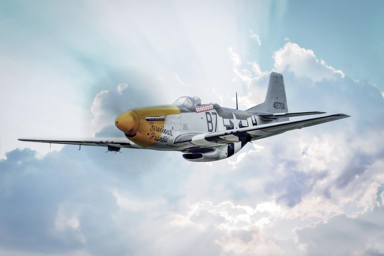 1300x867 North American P 51 Mustang Wall Mural