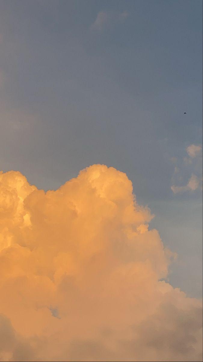 675x1200 