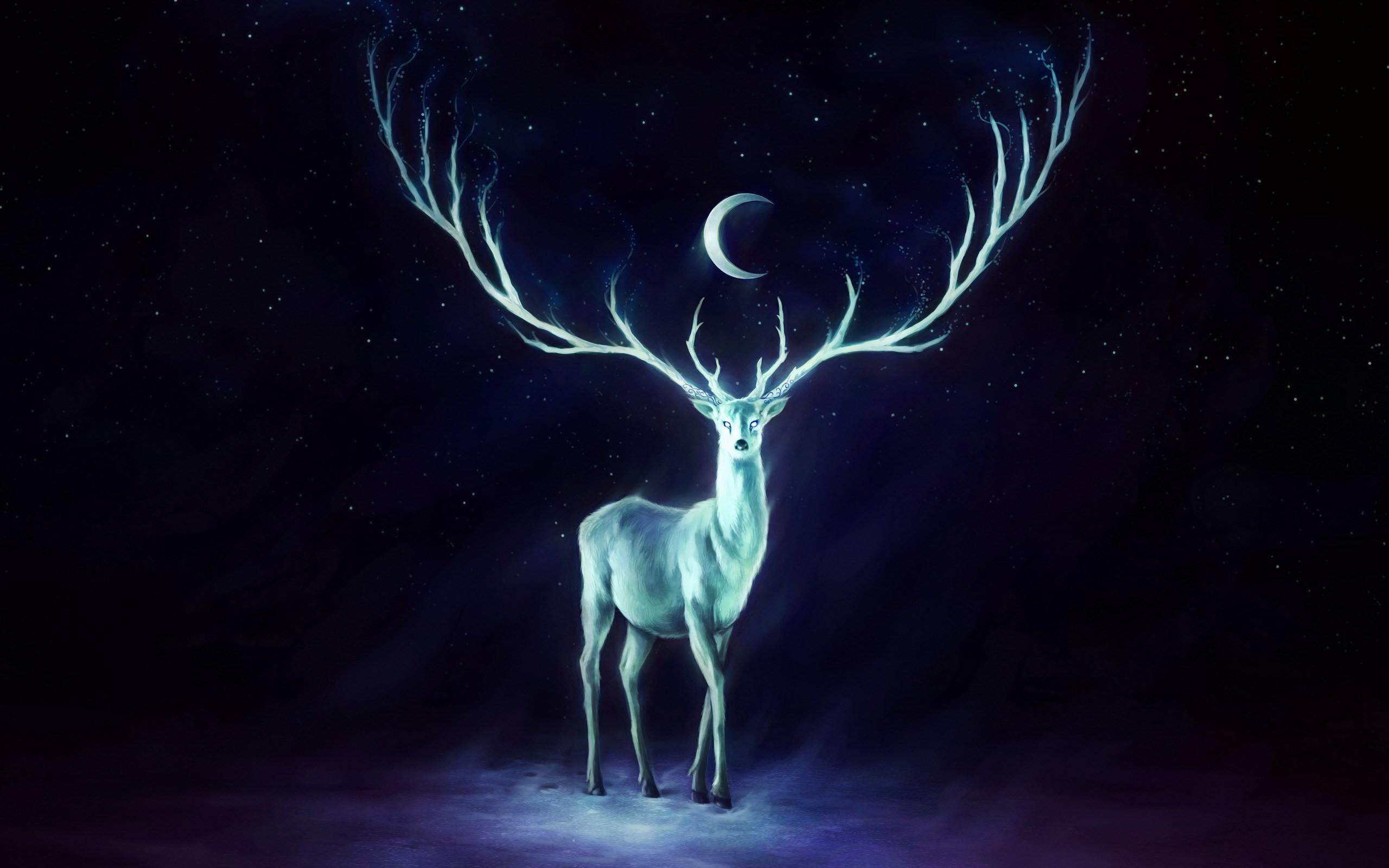 2560x1600 Wiccan And Wallpaper