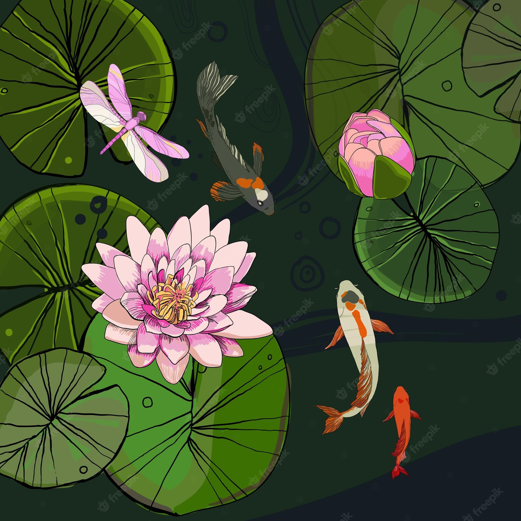 2000x2000 Lotus Pond Image
