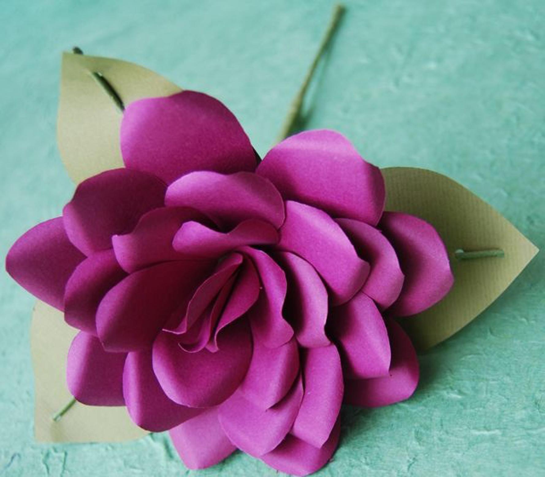 1778x1556 Flower Makers Share Tricks. The Spokesman Review