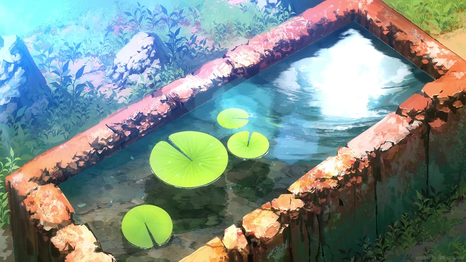 1920x1080 Lotus Pond Live Wallpaper