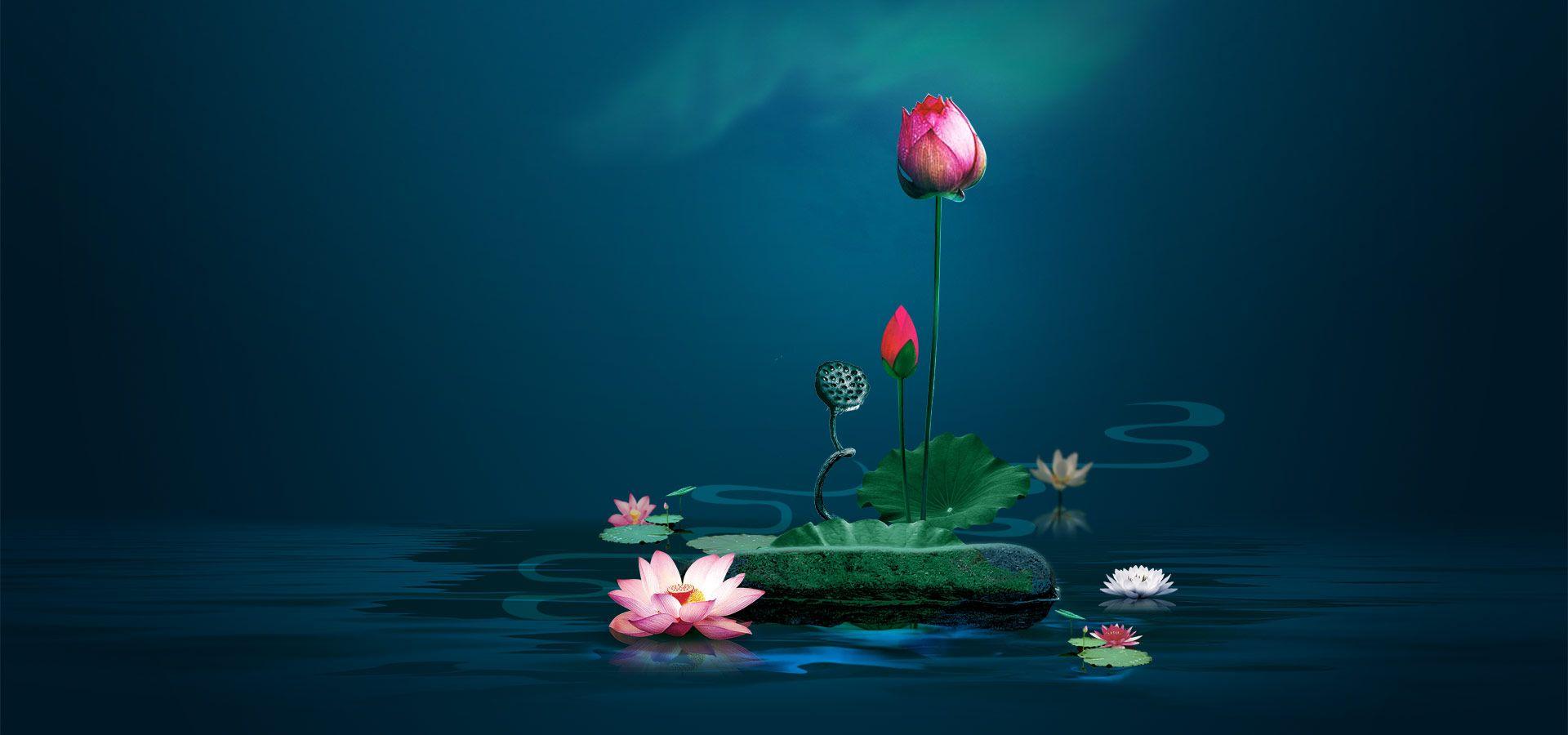 1920x900 Lotus Pond. Lotus pond, Photohop backdrop, Poster background design