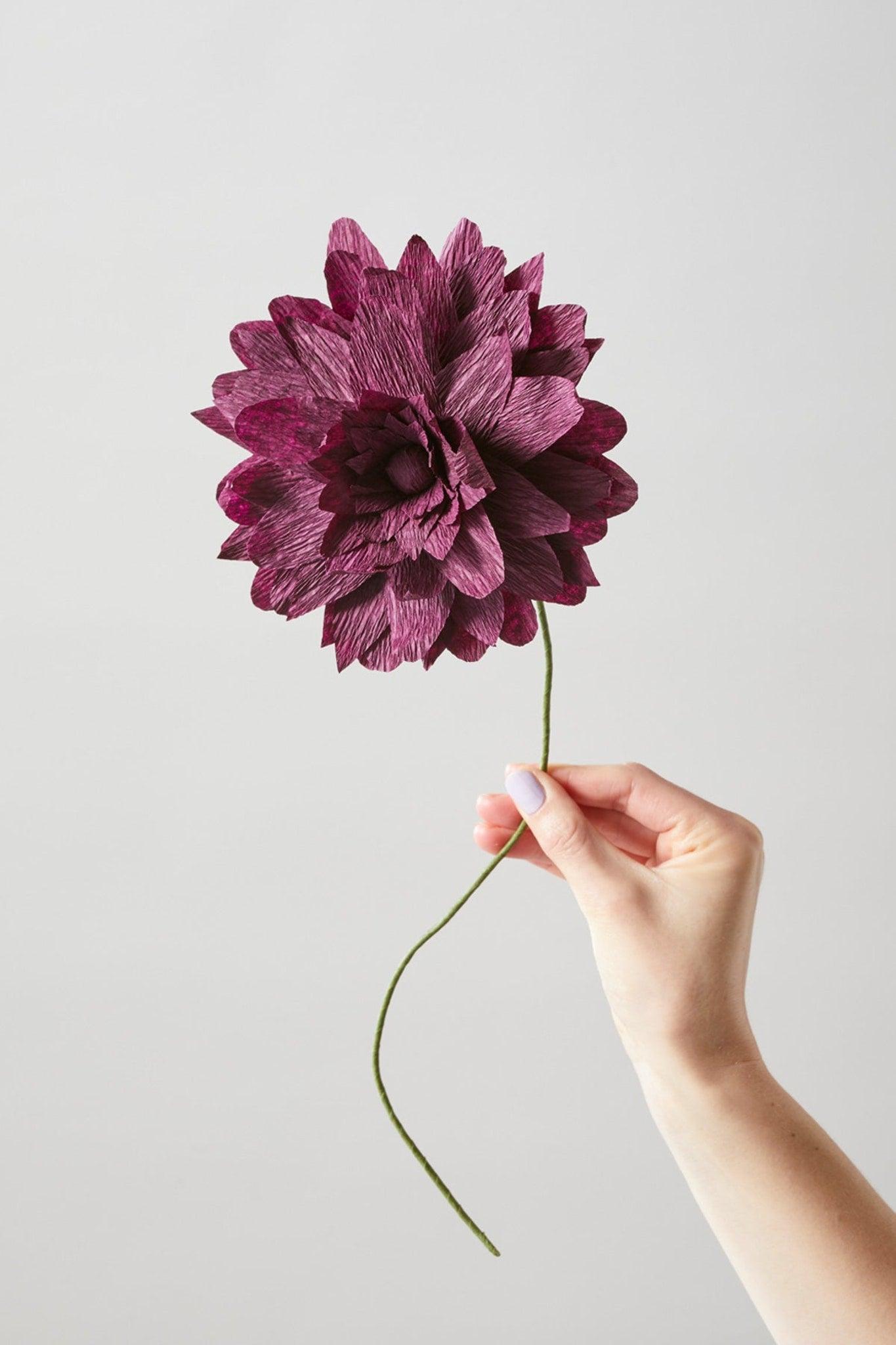 1365x2048 PAPER FLOWER, GRAND DAHLIA, AUBERGINE, 160460A About EU