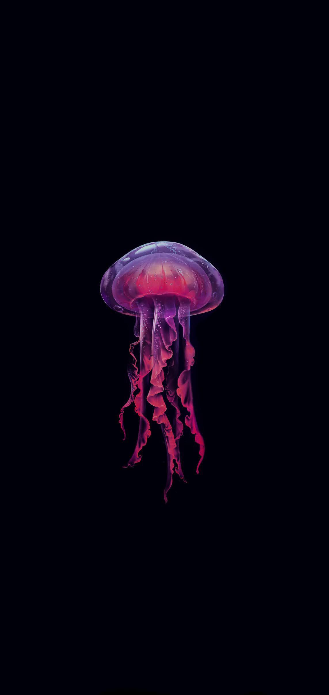 1143x2412 Apple Watch