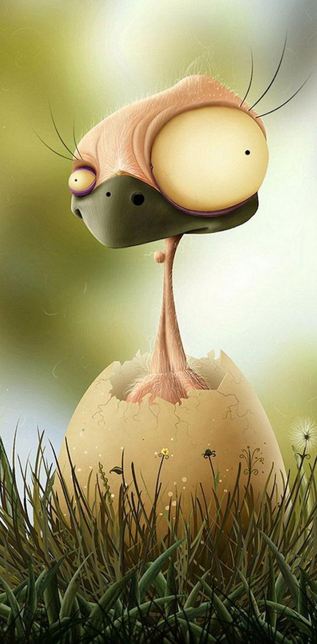 630x1280 FUNNY chicken wallpaper