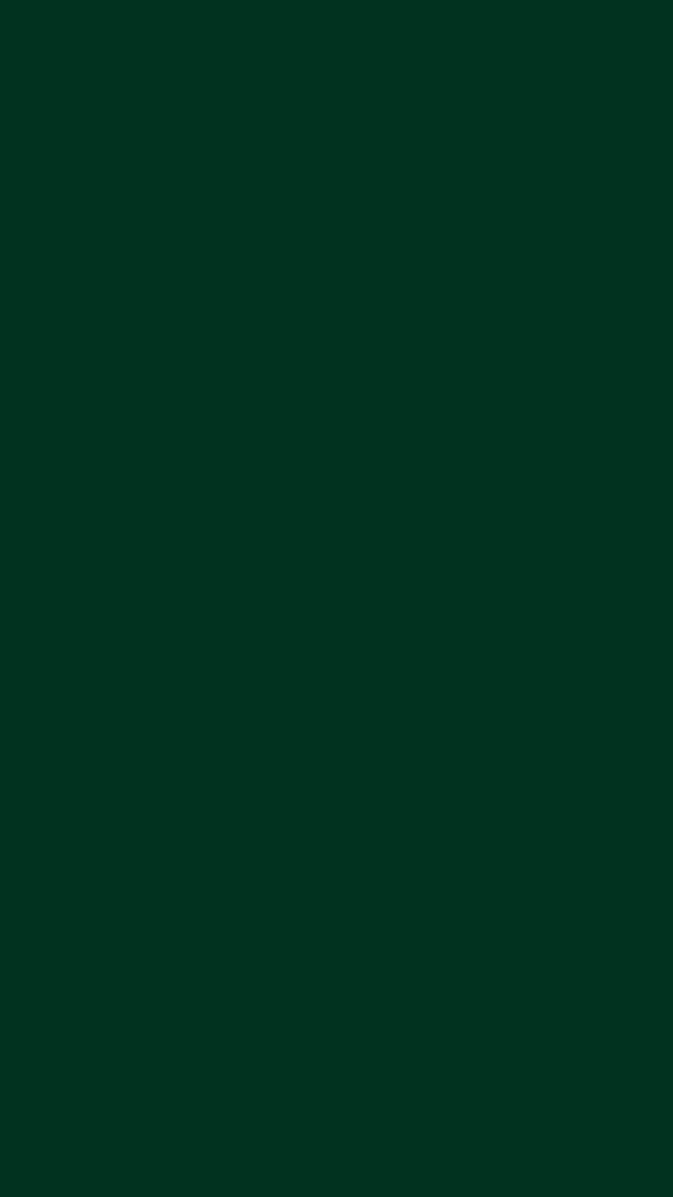 2160x3840 Dark Green Solid Color Background Wallpaper For Mobile