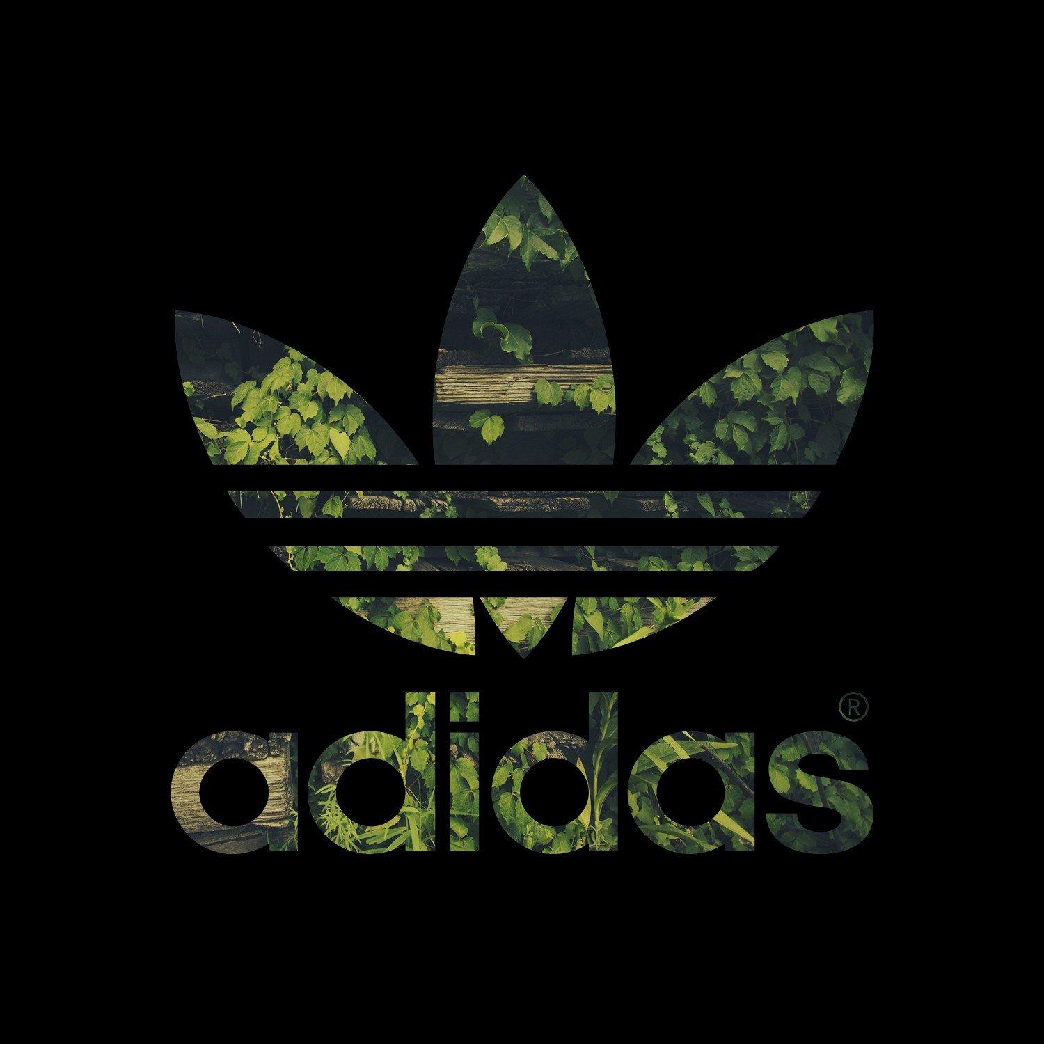 1500x1500 adidas logo leaves Gallery HD Wallpaper