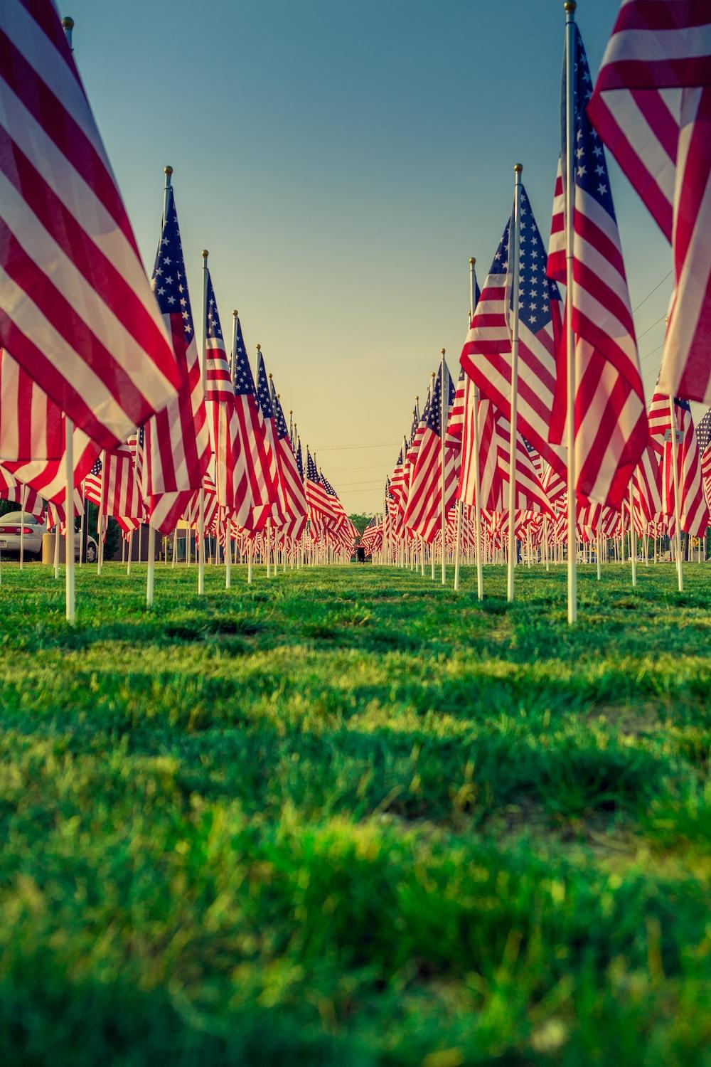 1000x1500 Us a flags on green grass field during daytime photo