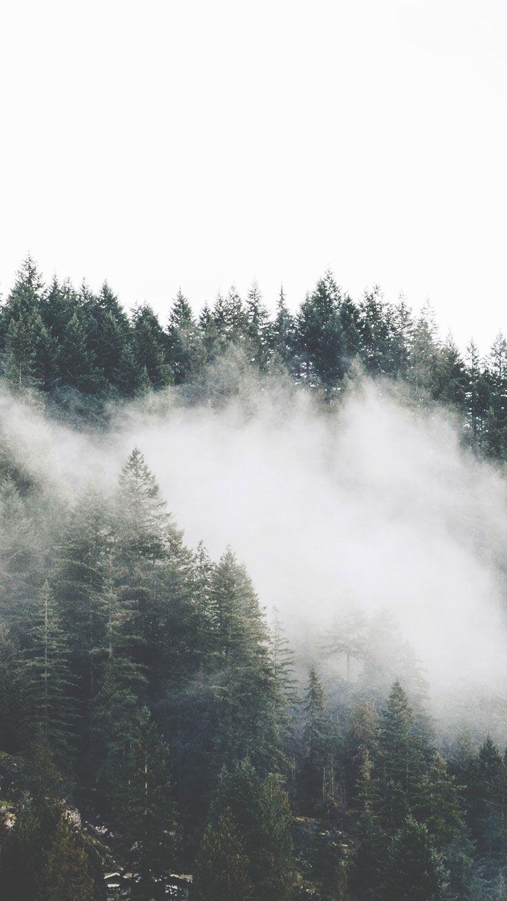 736x1308 Adventurous Forest & Mountain iPhone 7 Wallpaper. Preppy