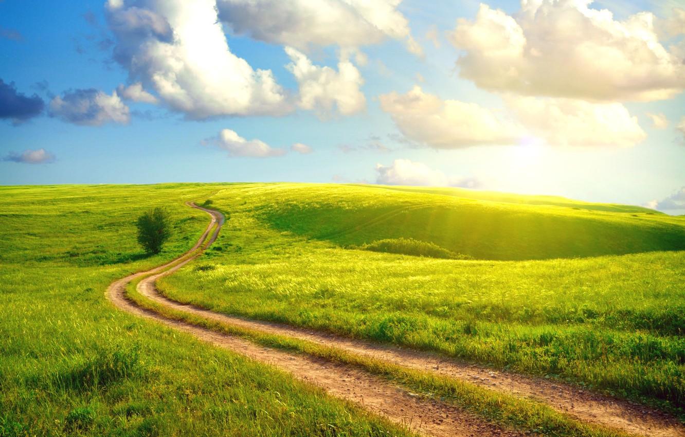1332x850 Wallpaper road, summer, the sky, grass, the sun, clouds, landscape, country, village, dense, Sunshine day image for desktop, section пейзажи