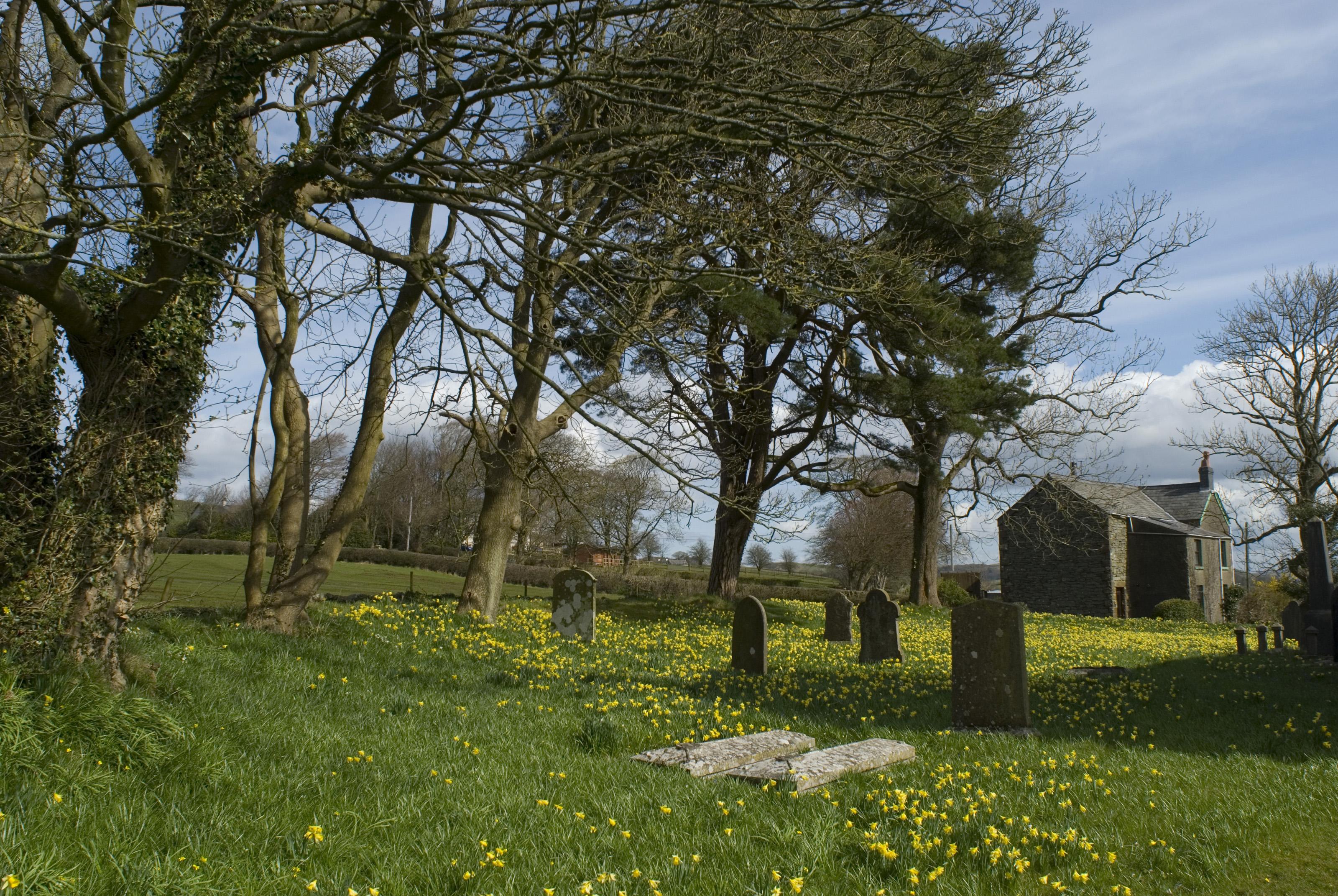 3200x2142 Free 7811 Country village churchyard