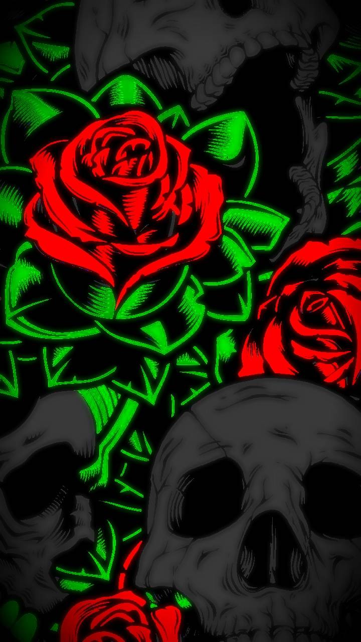 720x1280 Skull Rose Mobile Wallpaper