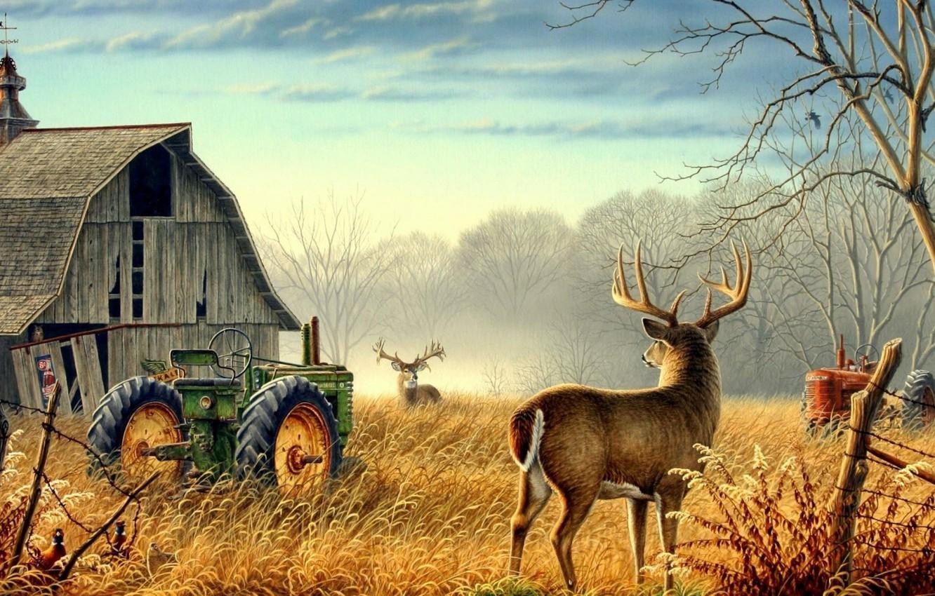1332x850 Wallpaper Nature, trees, animals, birds, fog, mood, deer, barn, farm, mist, fences image for desktop, section живопись