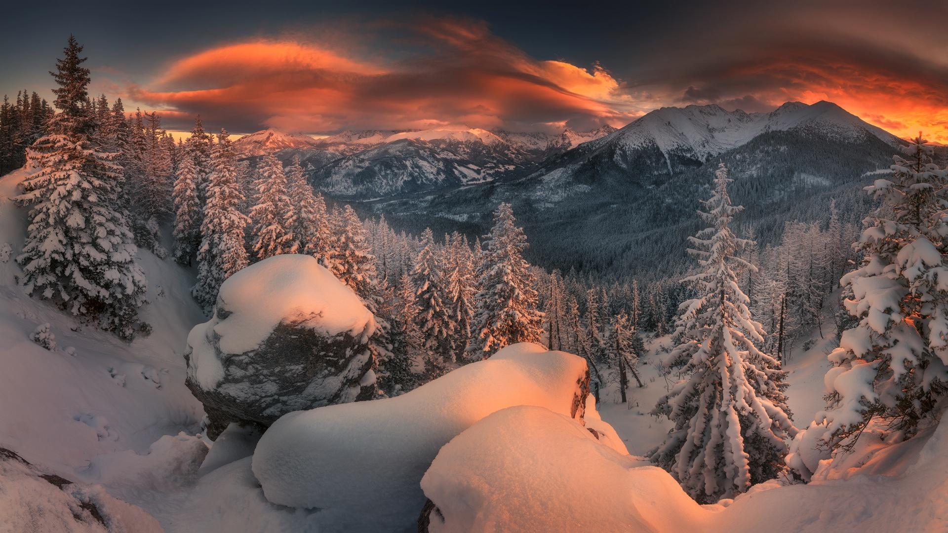 1920x1080 Winter HD, Nature, Snow, Mountain, Forest, Sunset Gallery HD Wallpaper