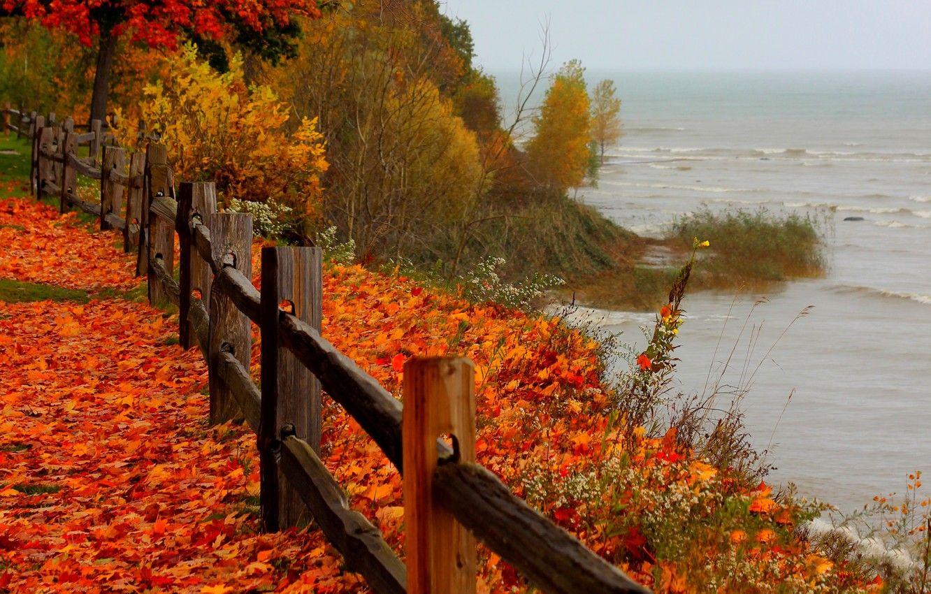 1332x850 Autumn Sea Wallpaper