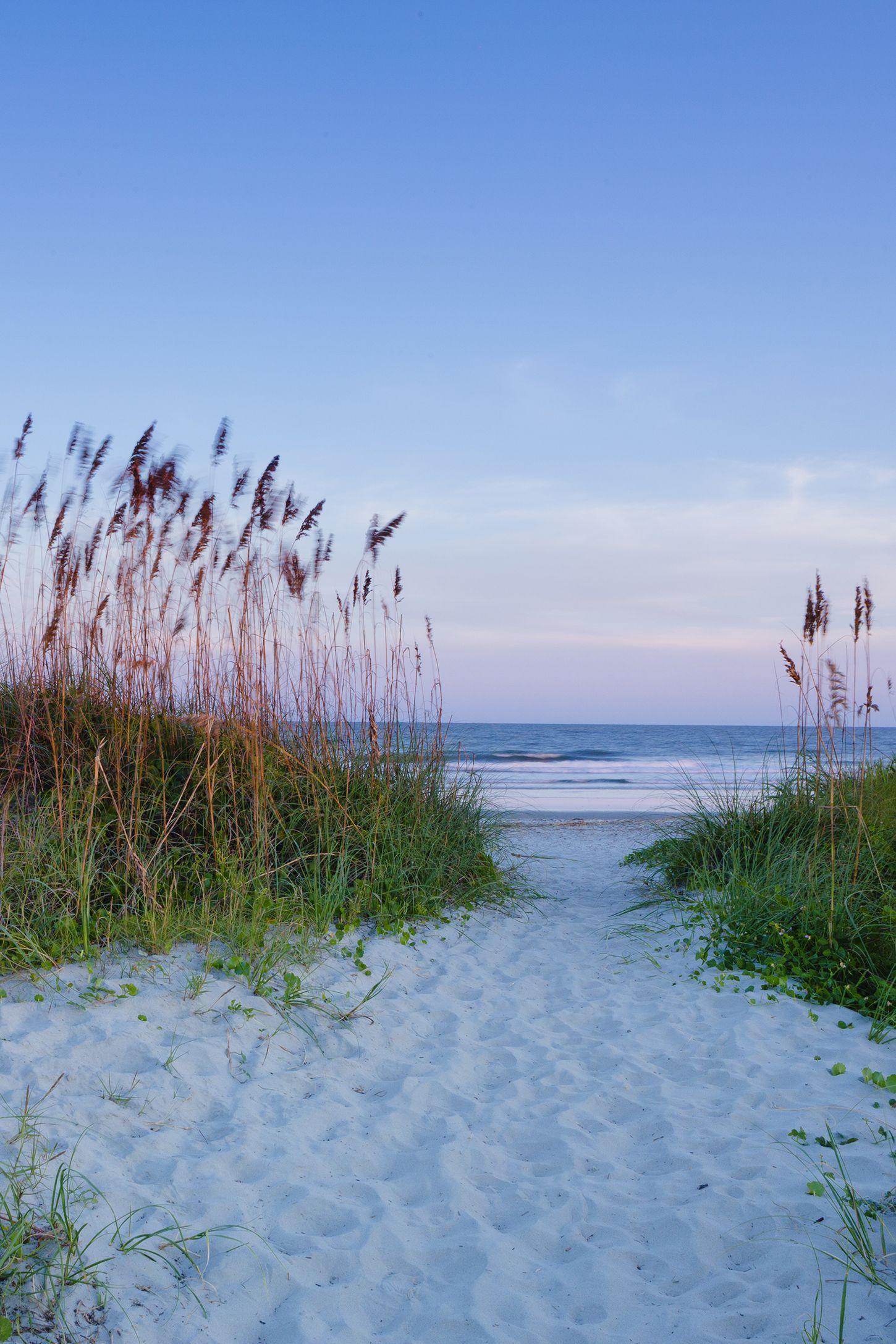 1450x2175 Autumn Beaches Wallpaper