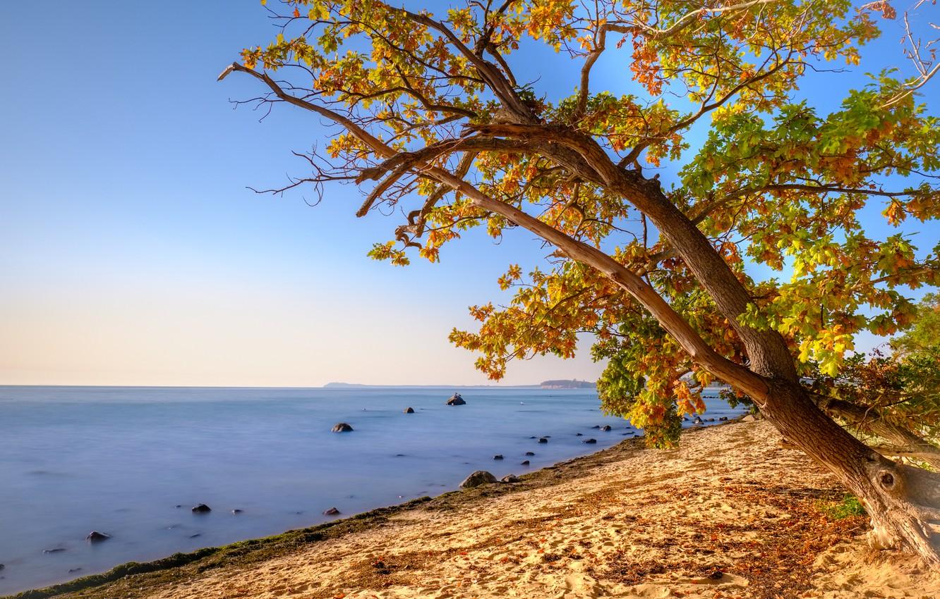 1332x850 Autumn Coast Wallpaper