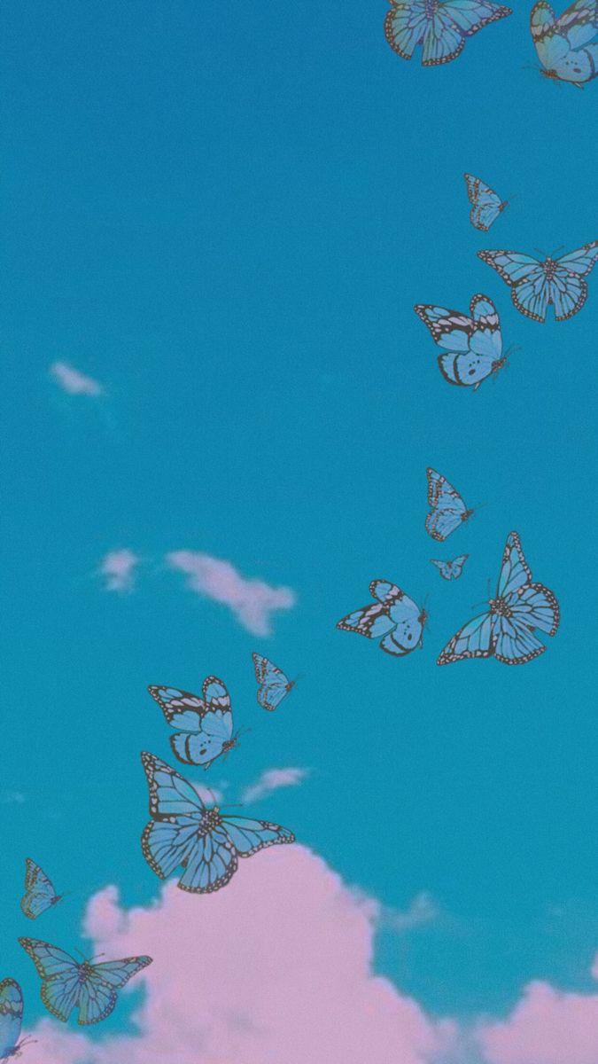 Anime Butterfly Wallpapers - Top Free Anime Butterfly Backgrounds ...