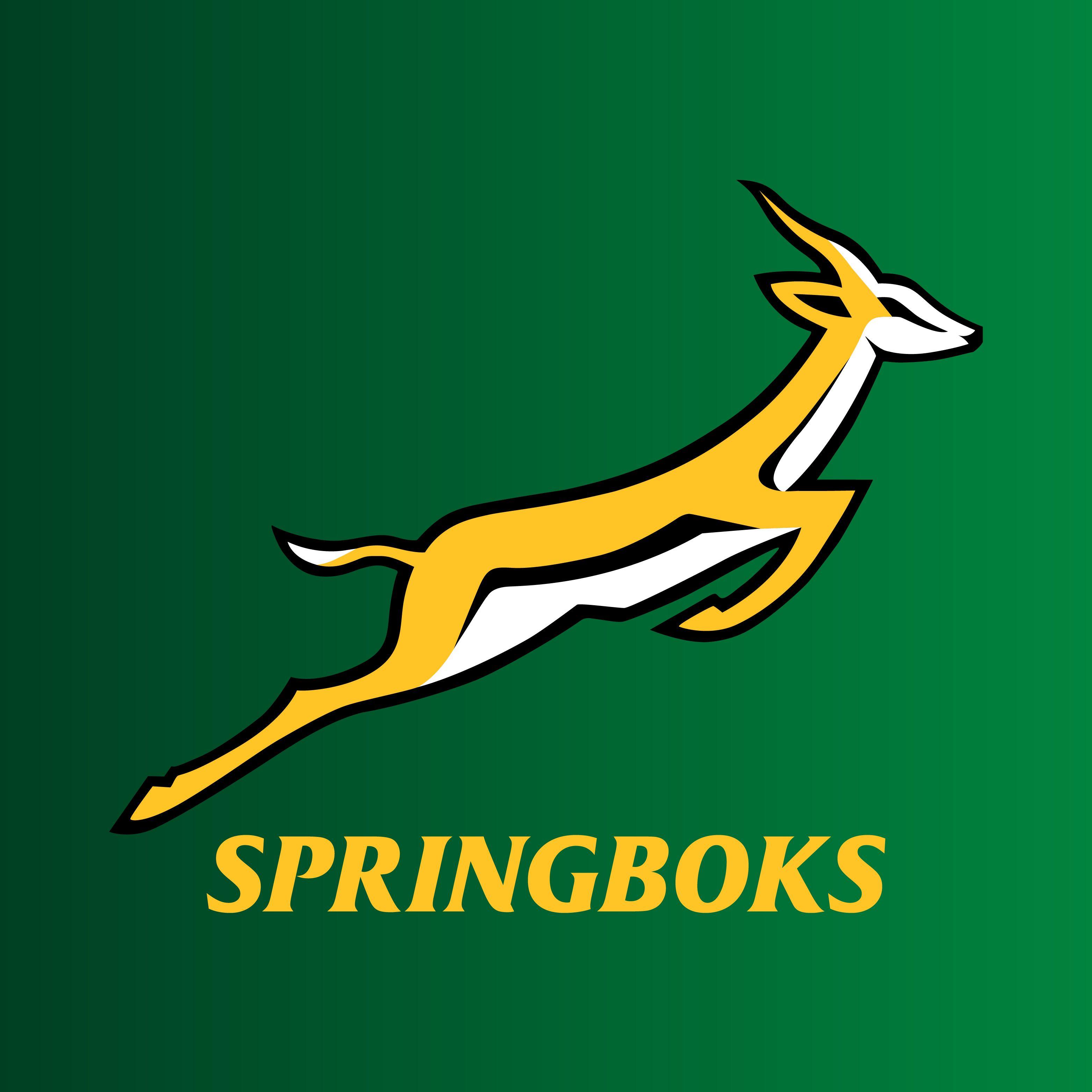 3125x3125 Springboks Rugby Wallpaper
