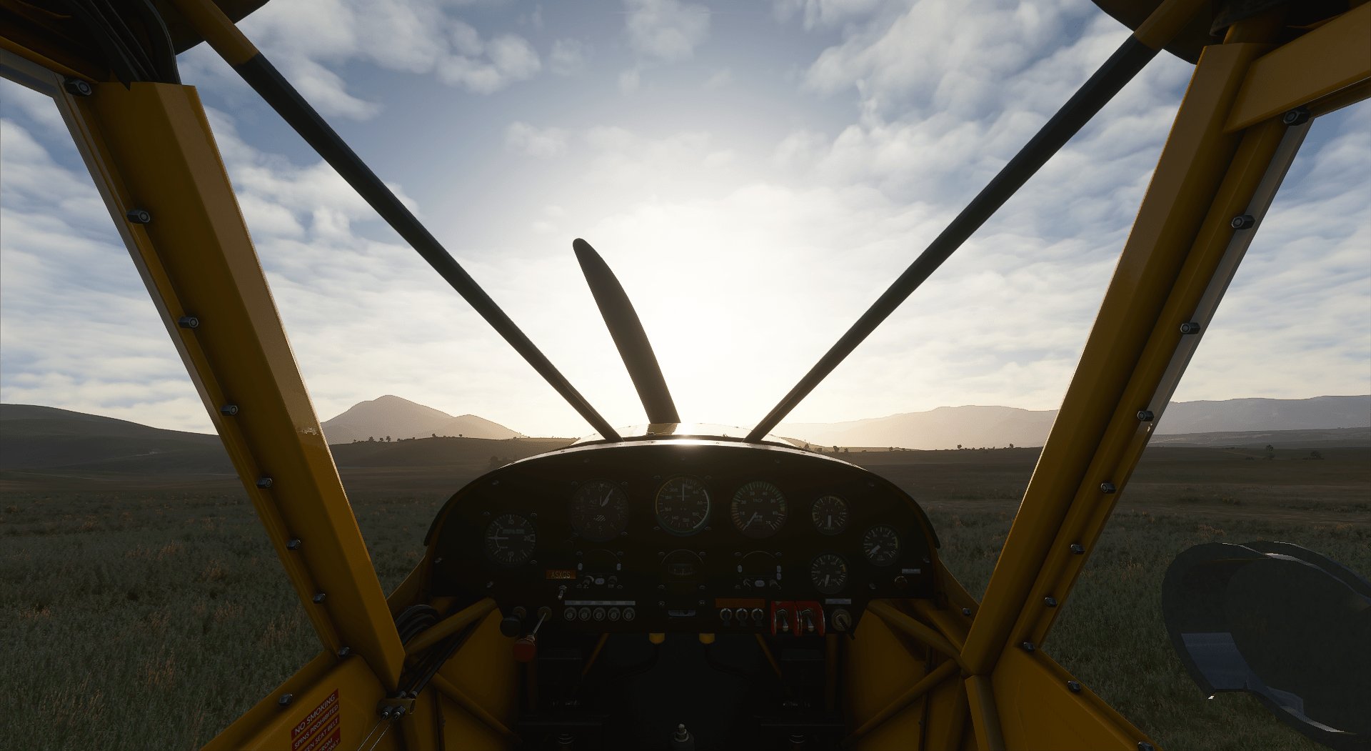 1920x1051 Bush flying 1080P, 2k, 4k HD wallpaper, background free download