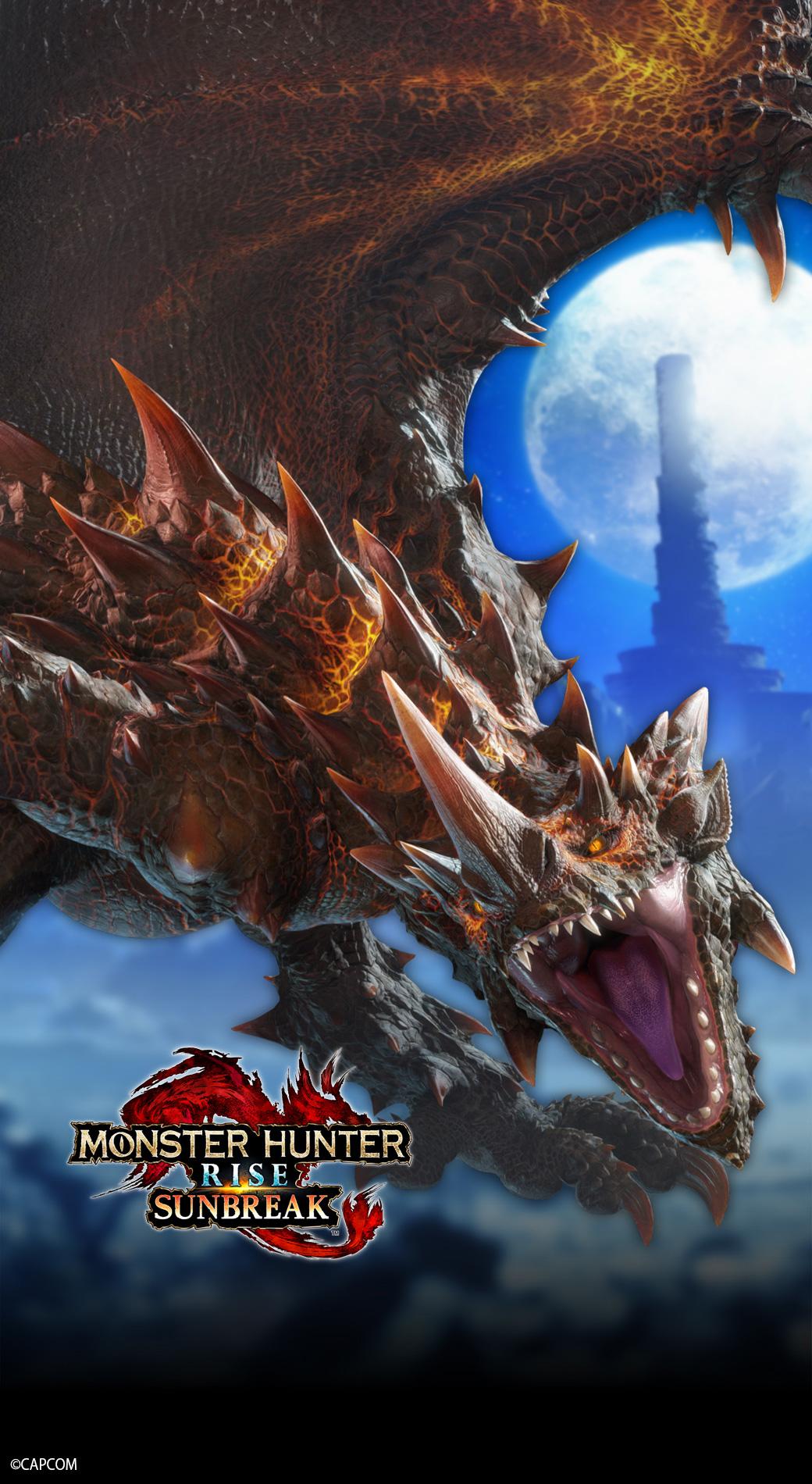 1040x1900 Monster Hunter Asia