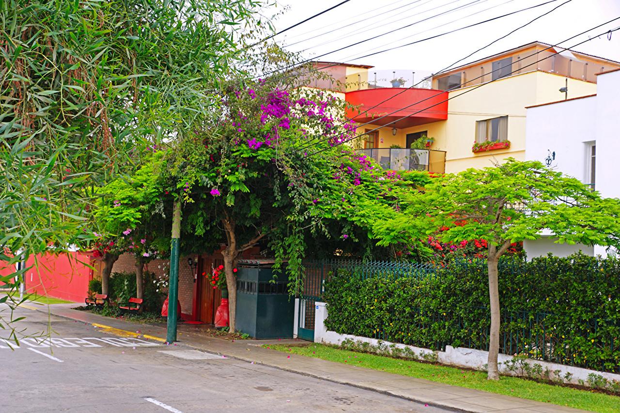 1280x853 Photos Peru Lima Street Trees Cities Building