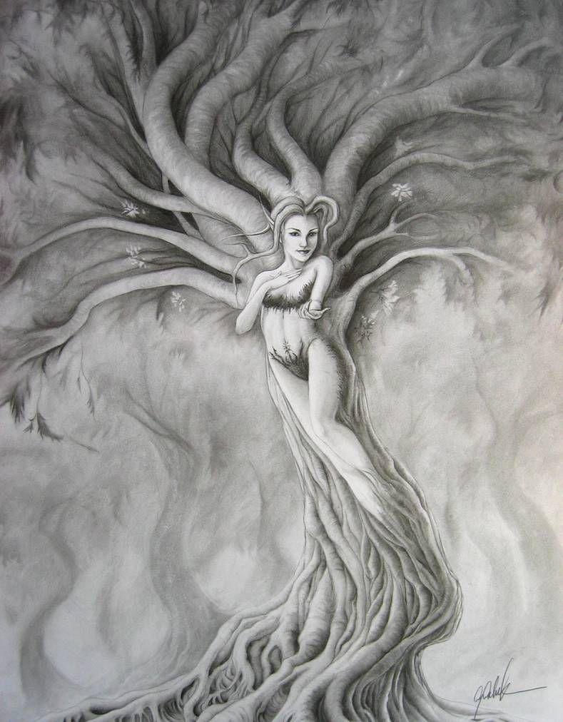 789x1012 Dryad 2. Life drawing, Pencil art, Drawing wallpaper
