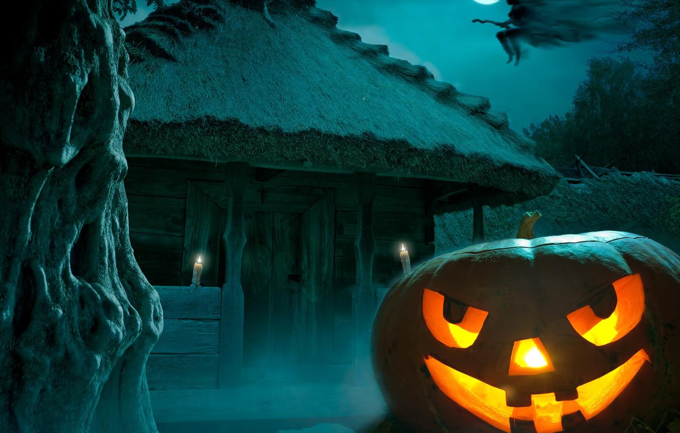 1332x850 Wallpaper night, fear, Halloween, pumpkin, moon, Halloween, witch, the full moon, night, holiday, pumpkin, Happy, witch, hounted house image for desktop, section праздники